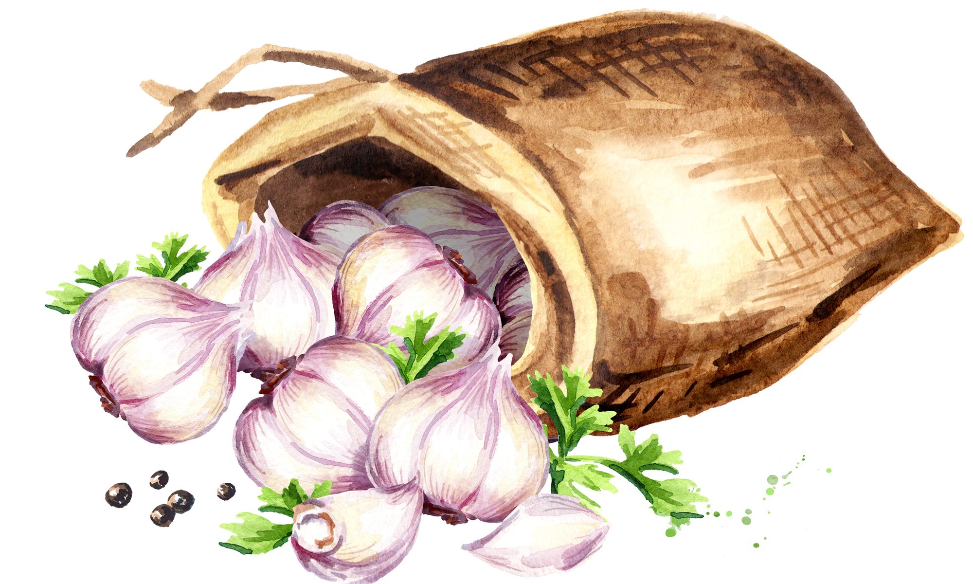 Sack of Garlic - Paranormal Properties